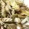 Чай белый Гу Шу Бай Я (Весенние почки Юннаня) оптом в BestTea, фото , изображение 3