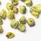 Ромашка Китайская оптом в BestTea, фото , изображение 3