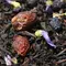 Изысканный Бергамот Classic оптом в BestTea, фото , изображение 5