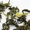 Чай жасминовый Моли Хуа Ча с бутонами жасмина оптом в BestTea, фото , изображение 8