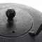 Чайник чугунный №12 850 мл оптом в BestTea, фото , изображение 4