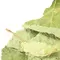 Липа цвет крупный лист оптом в BestTea, фото , изображение 2