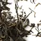 Чай пуэр Айс Лэнд, Шен оптом в BestTea, фото , изображение 2