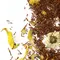 Чай Ройбуш Для маленькой капризки оптом в BestTea, фото , изображение 2