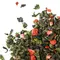 Чай улун Клубника со сливками оптом в BestTea, фото , изображение 3