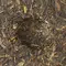 Чай пуэр Прекрасный выбор, Шен, Блин 315-357 г оптом в BestTea, фото , изображение 7