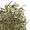 Чай зеленый Сенча, кат. A оптом в BestTea, фото , изображение 7