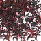 Чай фруктовый Комплимент оптом в BestTea, фото , изображение 7