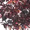 Чай фруктовый Комплимент оптом в BestTea, фото , изображение 11