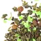 Чай улун Виноградный оптом в BestTea, фото , изображение 3