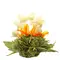 Чай связанный Бай Хуа Сян Цзы (Лунный сад жасминовый) оптом в BestTea, фото , изображение 2