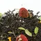 Чай черный Добрый Волшебник оптом в BestTea, фото , изображение 3