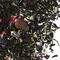 Чай черный Царский оптом в BestTea, фото , изображение 6