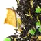 Чай черный Заветное Желание (Цейлон) оптом в BestTea, фото , изображение 4