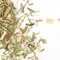 Травяной чай - Фиточай Имбирный лимонник																														 оптом в BestTea, фото , изображение 4
