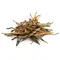 Чай красный Красные Иглы оптом в BestTea, фото , изображение 6