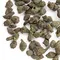Чай улун Женьшень с усиленным ароматом оптом в BestTea, фото , изображение 3