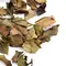 Чай белый Бай Му Дань (Белый пион) оптом в BestTea, фото , изображение 3
