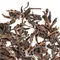 Чай пуэр Чэнь Нянь, Шу кат. B оптом в BestTea, фото , изображение 5