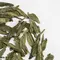 Чай зеленый Лун Цзин (Колодец дракона), кат. A оптом в BestTea, фото , изображение 3