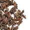 Чай пуэр Дикий, Шу кат. A оптом в BestTea, фото , изображение 6