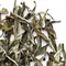 Чай зеленый Солнечные лучи оптом в BestTea, фото , изображение 4
