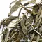 Чай зеленый Солнечные лучи оптом в BestTea, фото , изображение 6