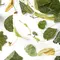Листья и цветы липы оптом в BestTea, фото , изображение 6