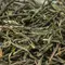 Чай белый Инь Чжень (Серебряные иглы) оптом в BestTea, фото , изображение 14