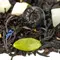Чай черный Черника в йогурте оптом в BestTea, фото , изображение 6