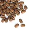 Кофе в зернах Доминикана, Фасовка: 1 оптом в BestTea, фото , изображение 5