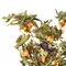 Чай зелёный Рассвет в горах оптом в BestTea, фото , изображение 6