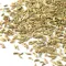 Фенхель сушеный, целый, Фасовка: 0.25 оптом в BestTea, фото , изображение 5