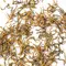 Чай красный китайский Инхун оптом в BestTea, фото , изображение 5