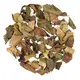 Чай белый Бай Му Дань (Белый пион) оптом в BestTea, фото 
