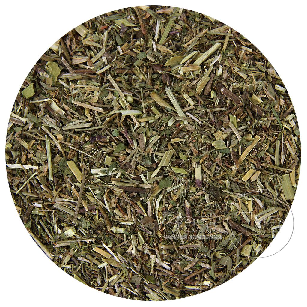 Мелисса в чайном магазине BestTea, фото 